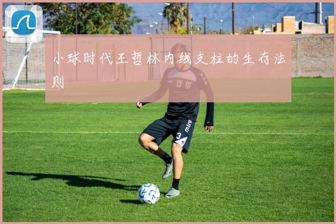 小球时代王哲林内线支柱的生存法则