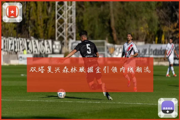 双塔复兴森林狼掘金引领内线潮流