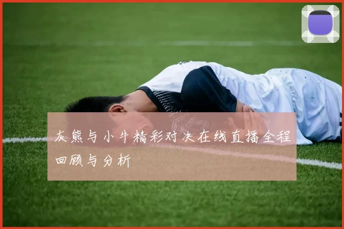 灰熊与小牛精彩对决在线直播全程回顾与分析