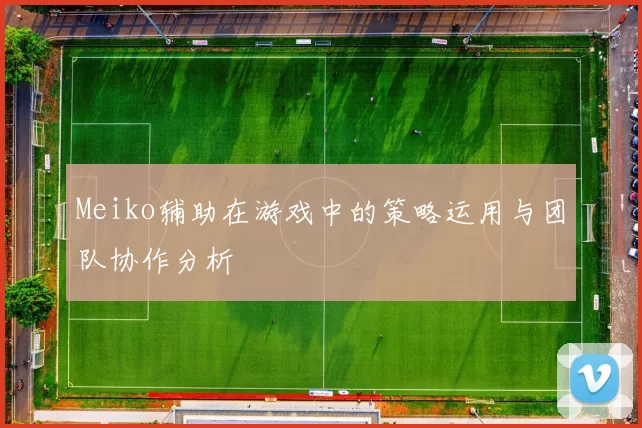 Meiko辅助在游戏中的策略运用与团队协作分析
