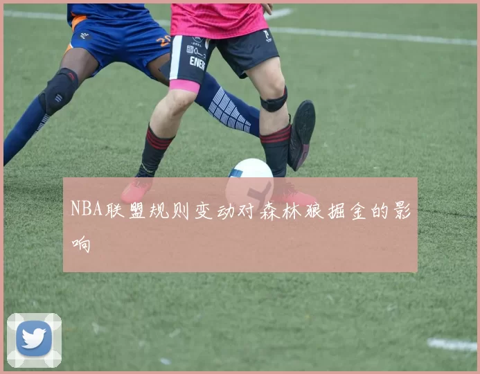 NBA联盟规则变动对森林狼掘金的影响