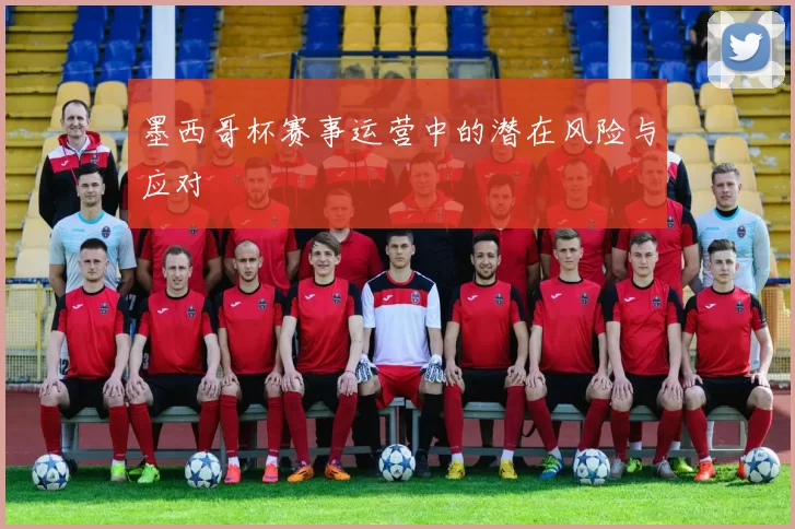 墨西哥杯赛事运营中的潜在风险与应对
