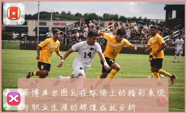 蒂博库尔图瓦在球场上的精彩表现与职业生涯的辉煌成就分析