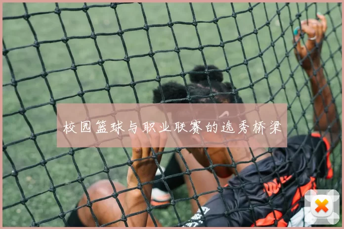校园篮球与职业联赛的选秀桥梁