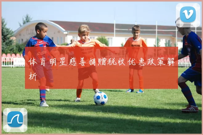 体育明星慈善捐赠税收优惠政策解析